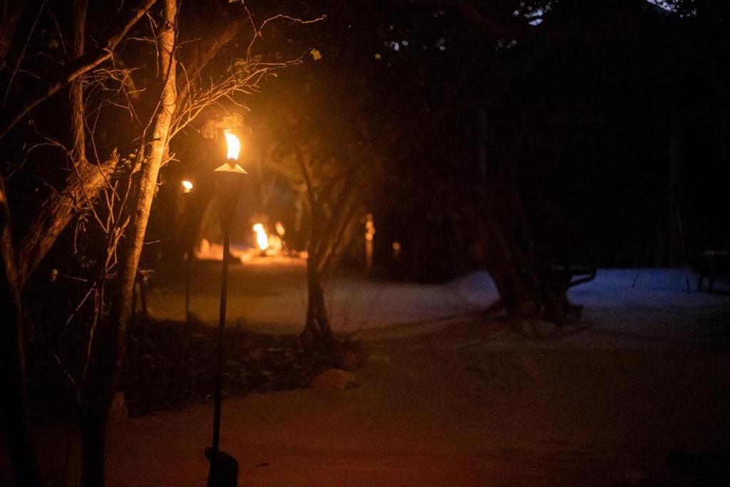 Leopard Camping Yala