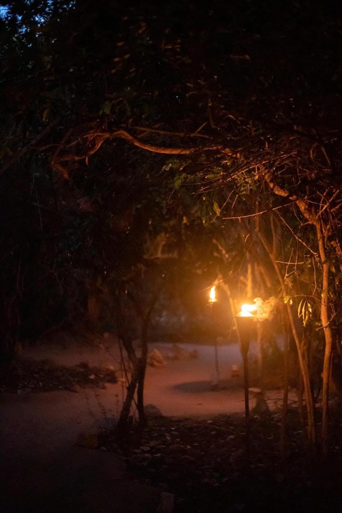 Leopard Camping Yala
