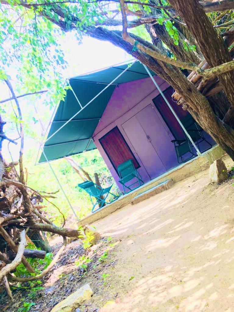 Leopard Camping Yala