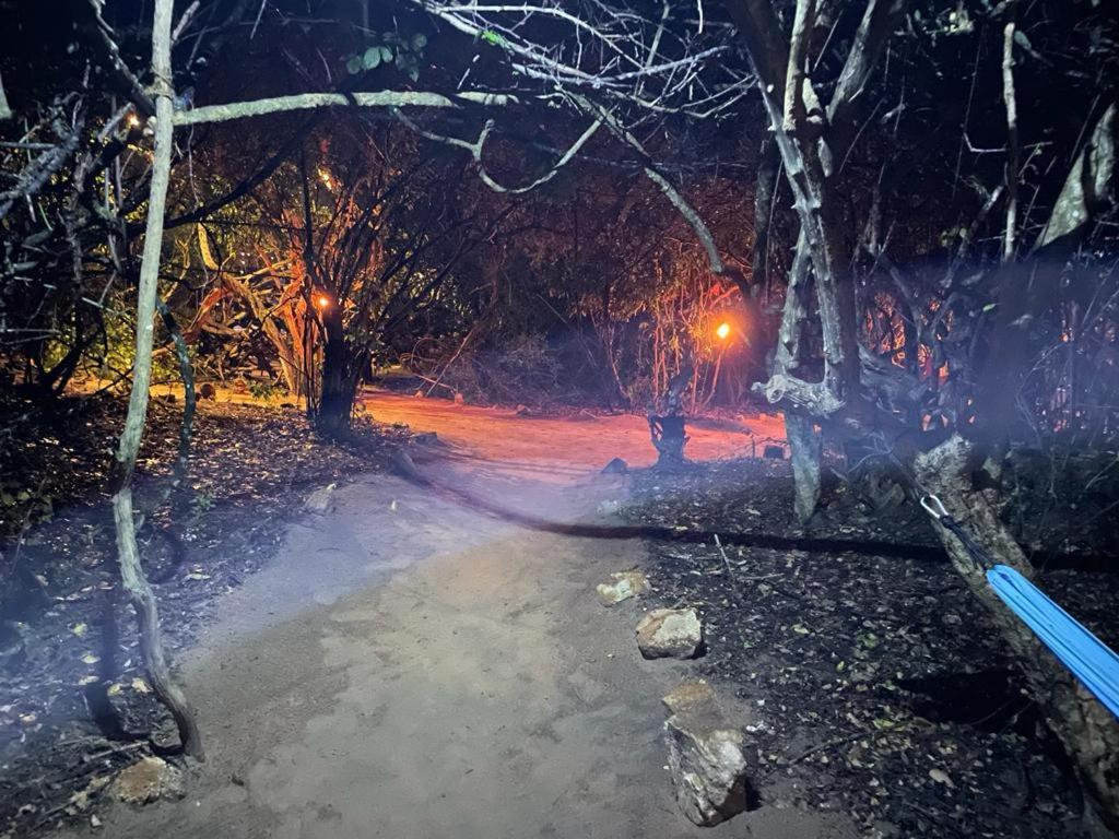 Leopard Camping Yala