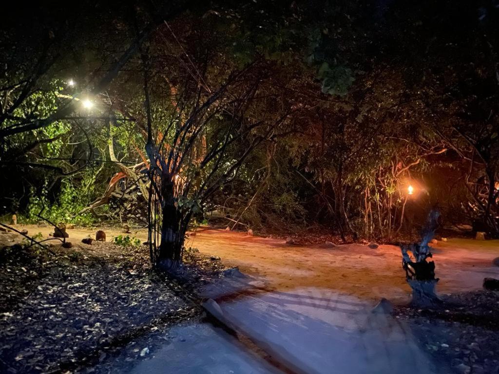 Leopard Camping Yala