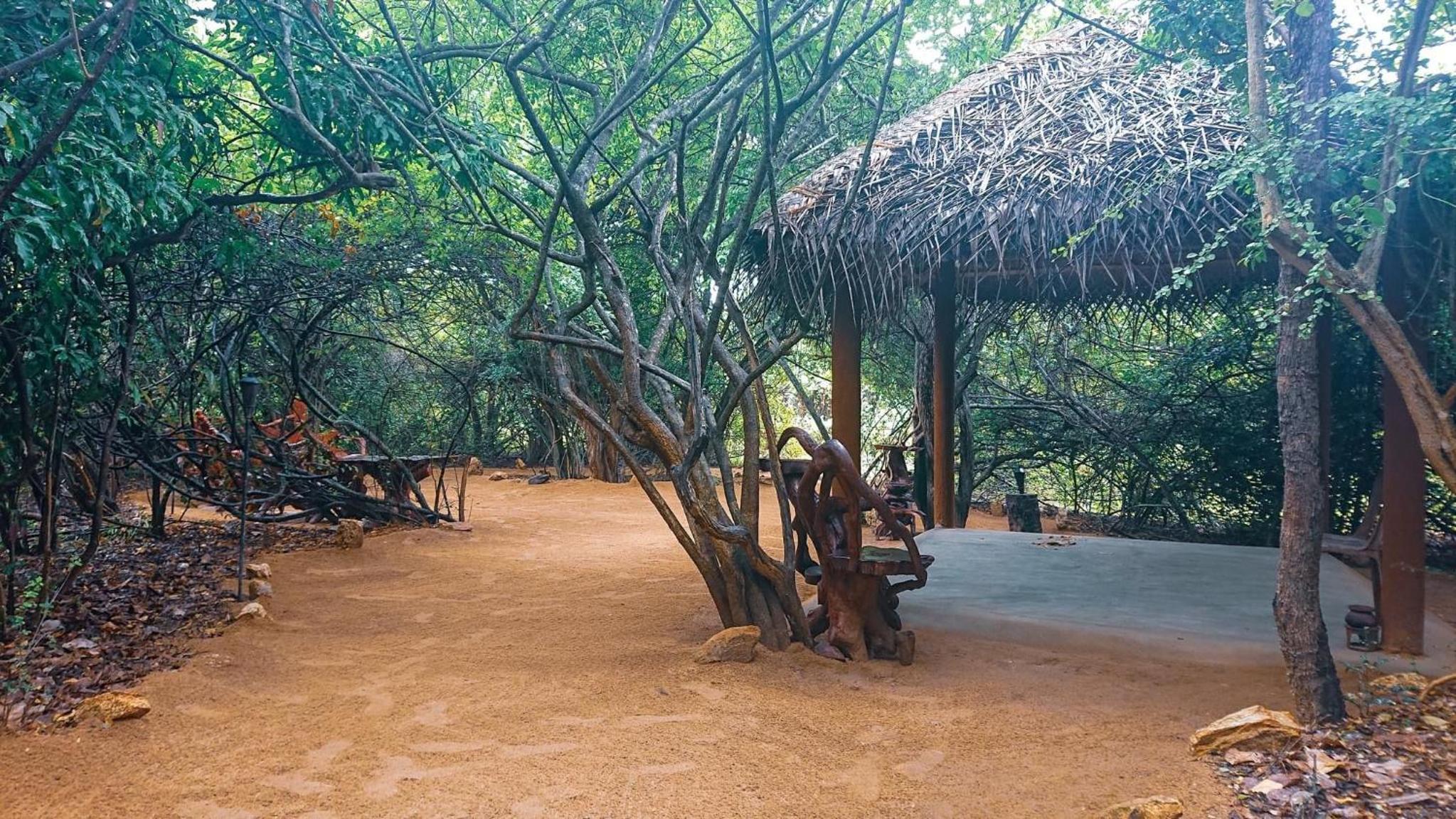 Leopard Camping Yala