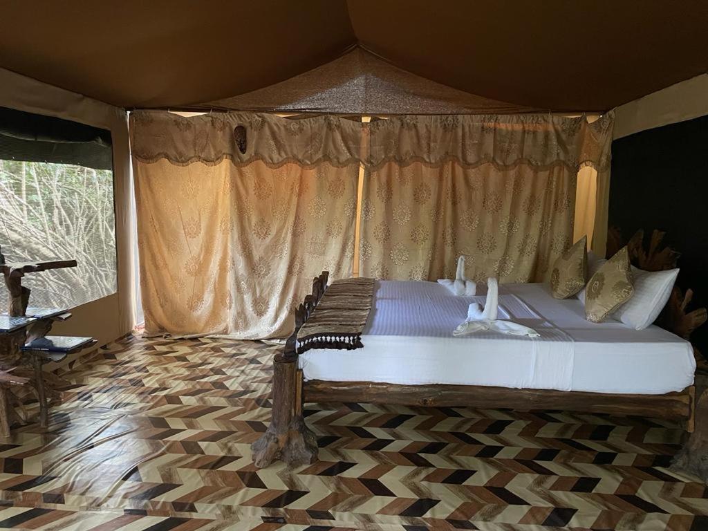 Leopard Camping Yala