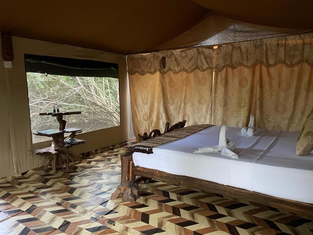 Leopard Camping Yala