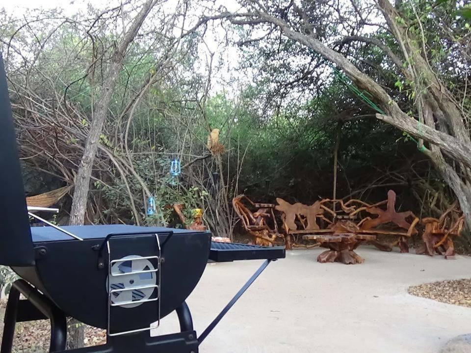 Leopard Camping Yala