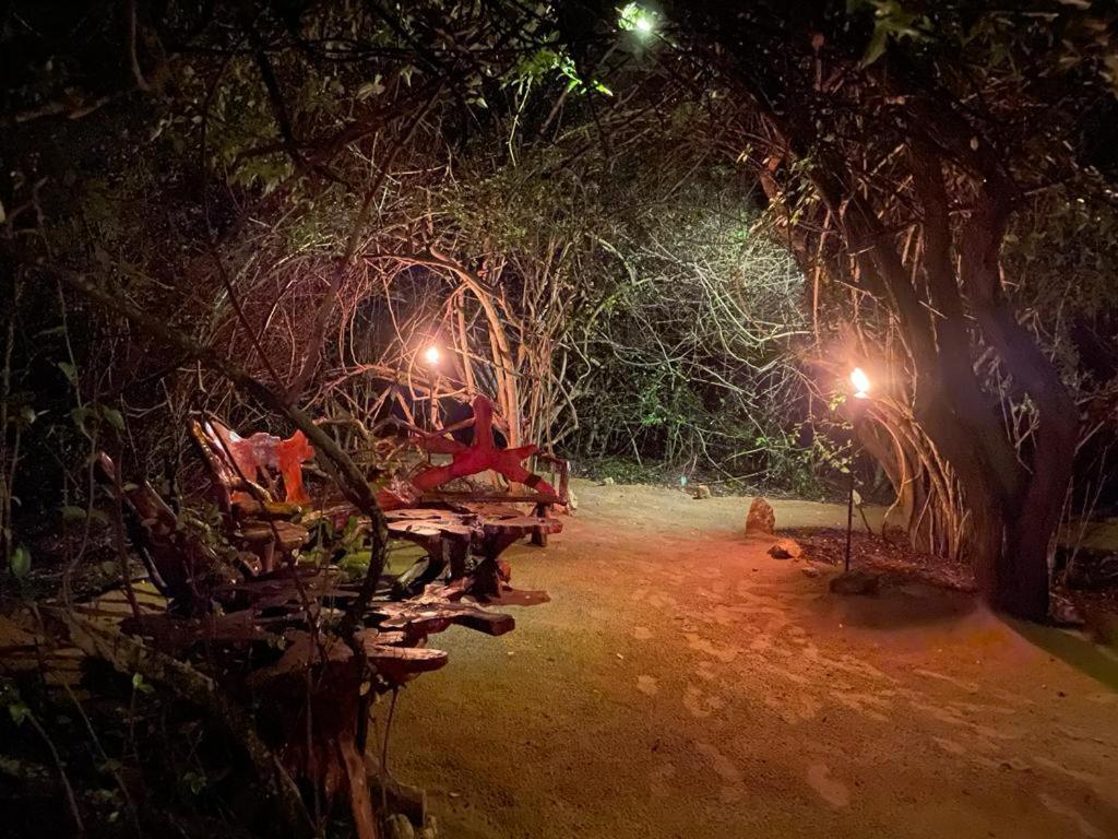 Leopard Camping Yala