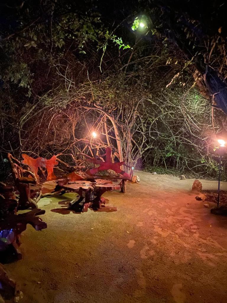Leopard Camping Yala