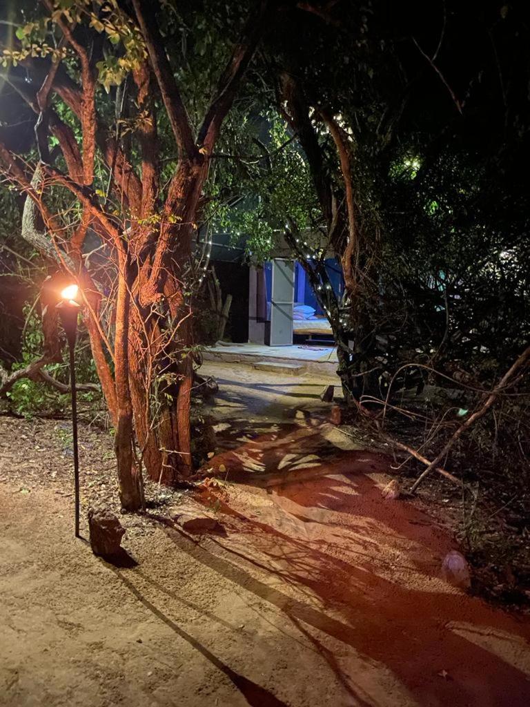 Leopard Camping Yala