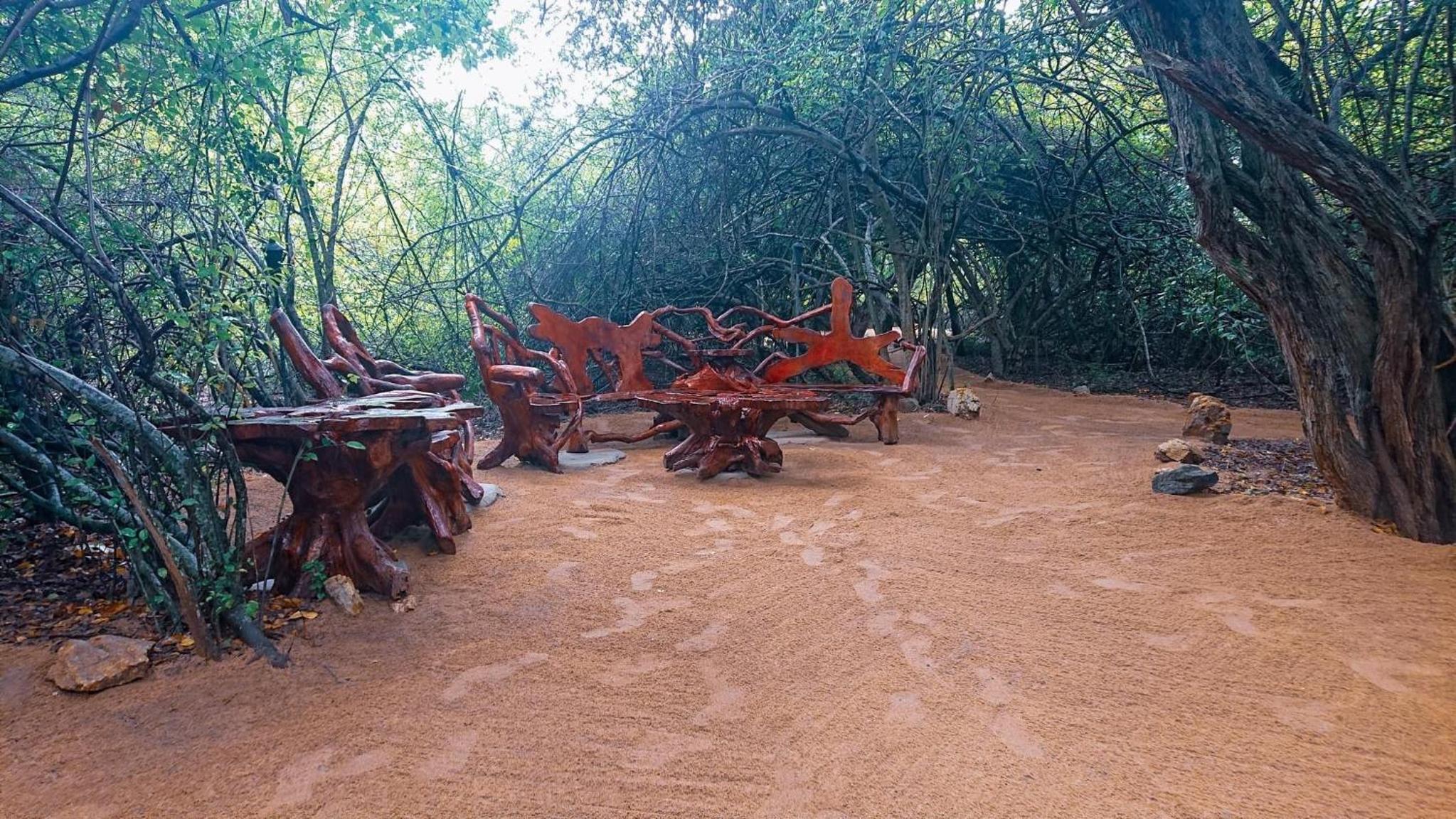 Leopard Camping Yala