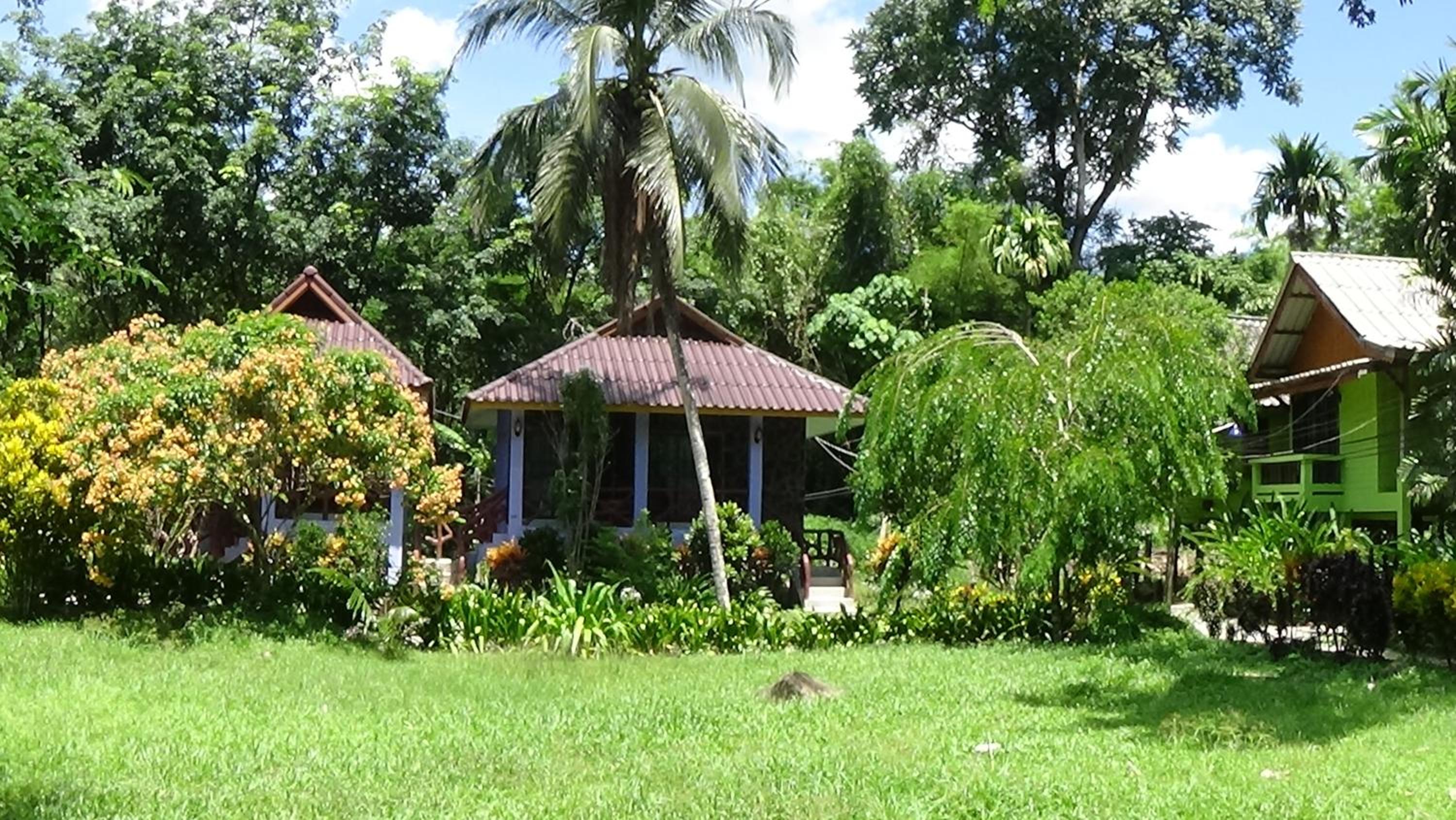 Tree Tops River Huts