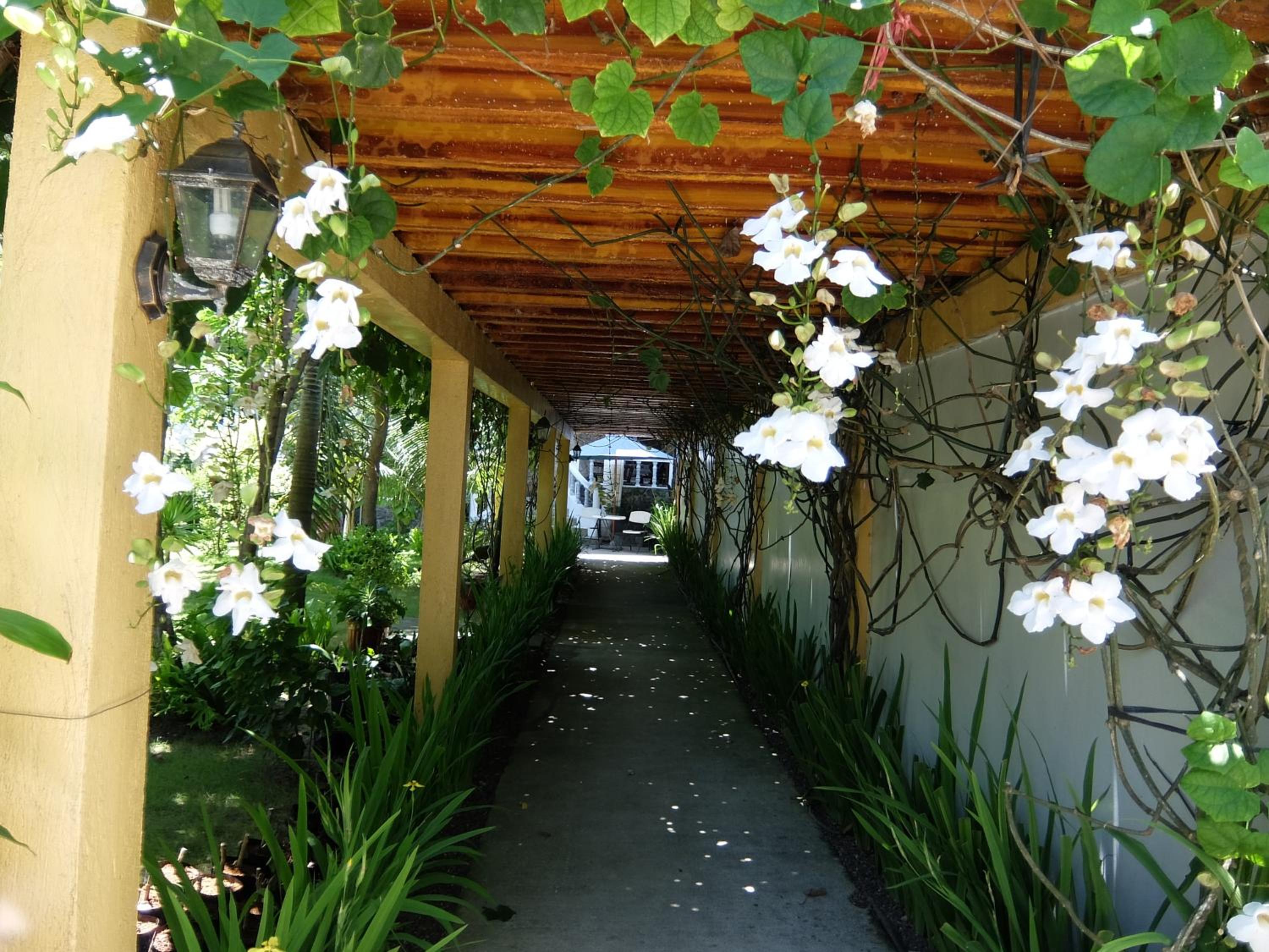 Photo 42