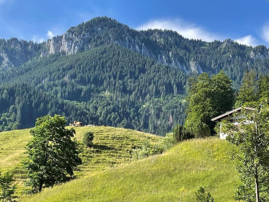 Am Bergangerl