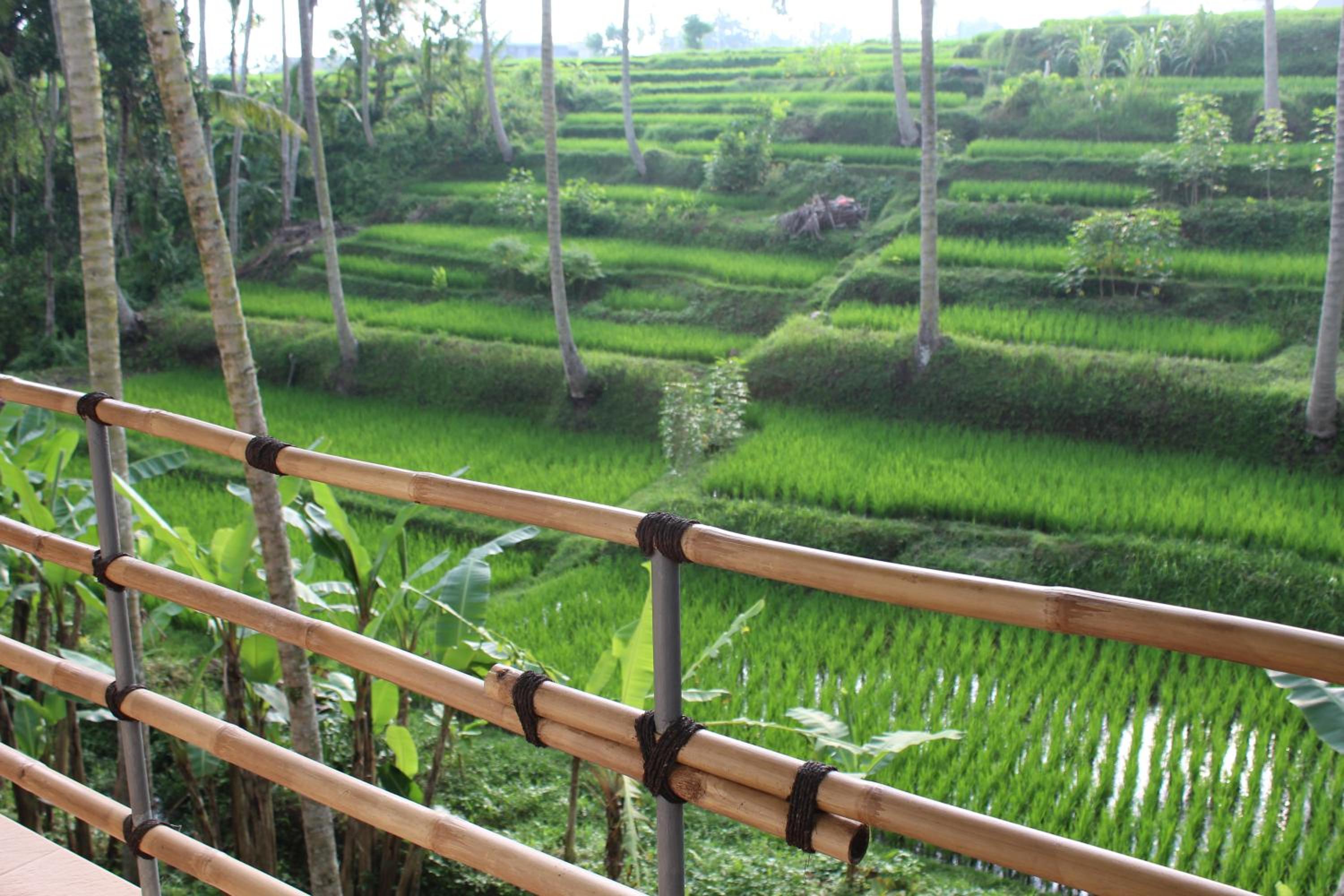 Junjungan Suite