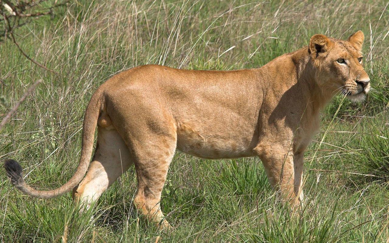 Photo 30