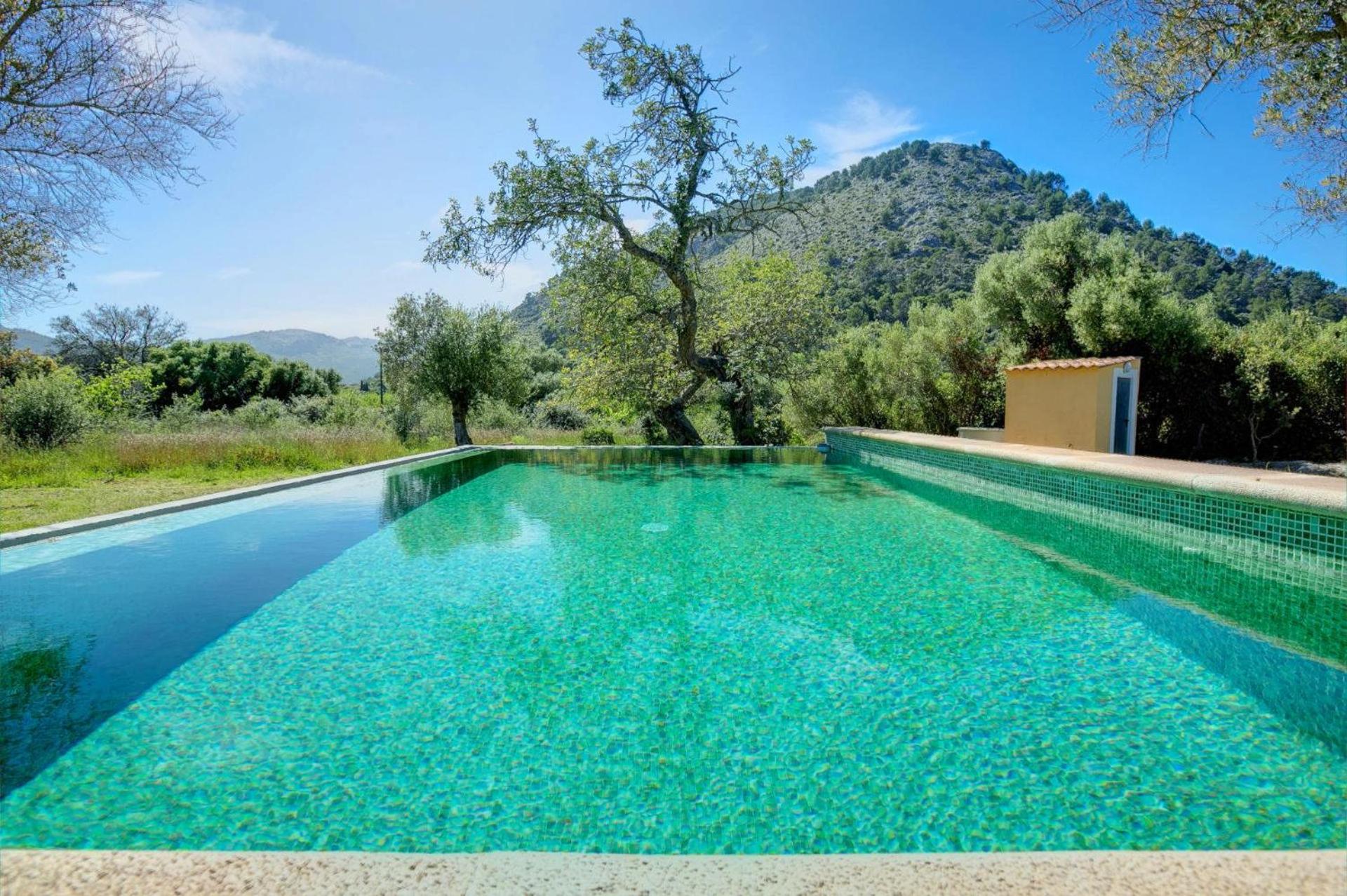 Busqueroles Petit photo 4