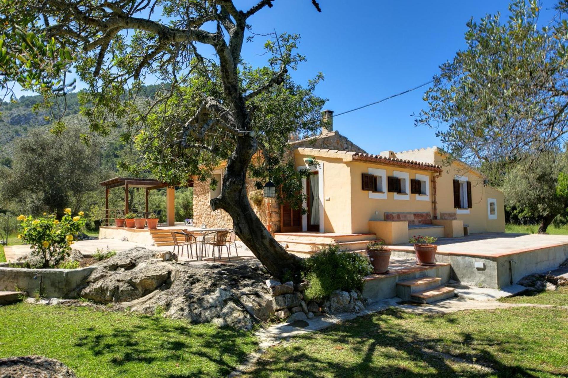 Busqueroles Petit photo 5