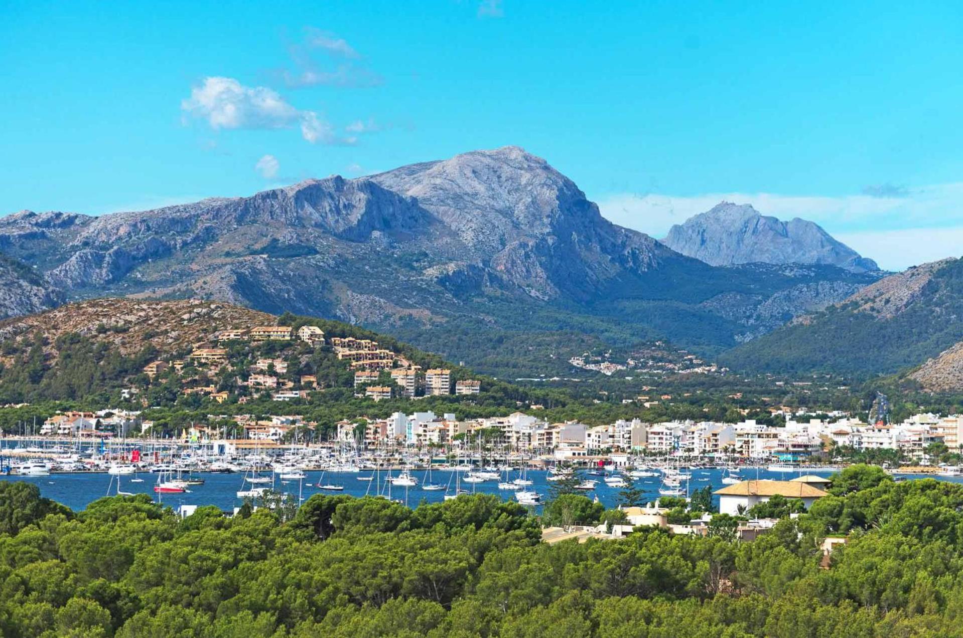 Oliveres by Vintage Travel