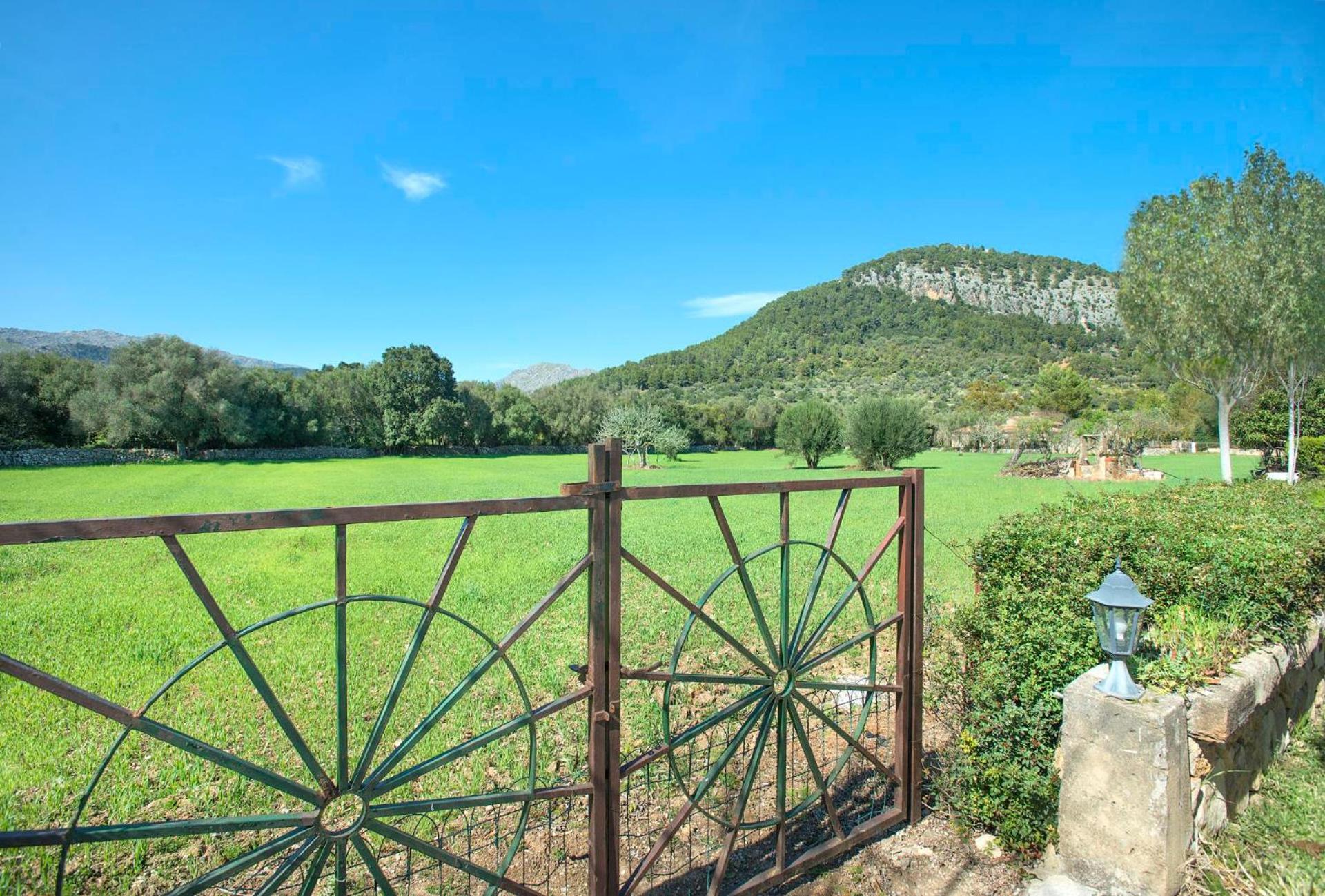 Can Reus by Vintage Travel