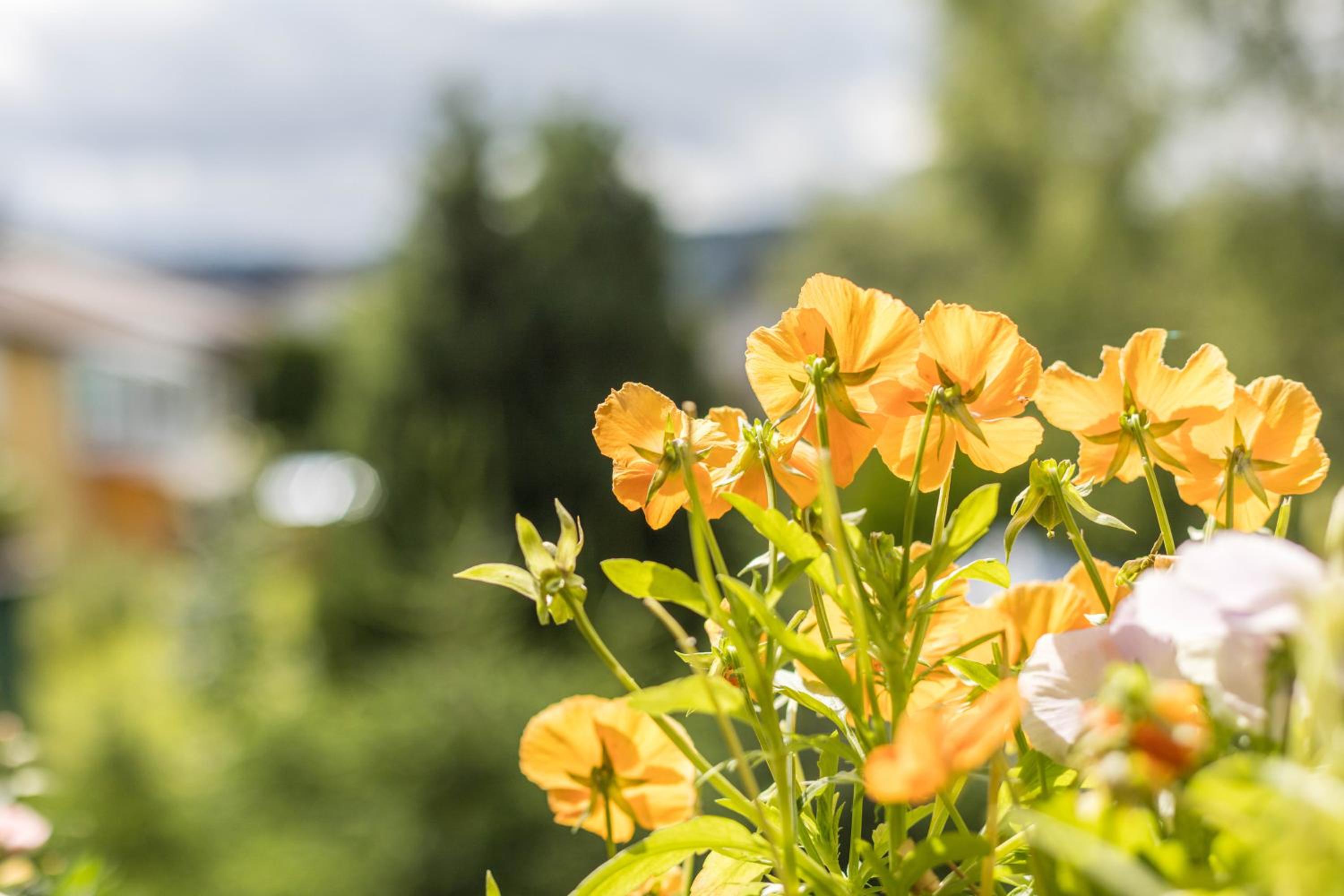 other