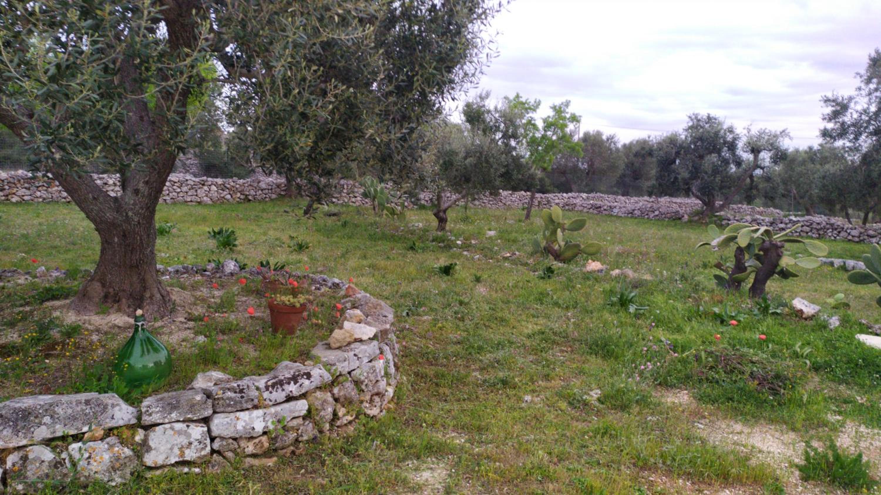 Photo 27