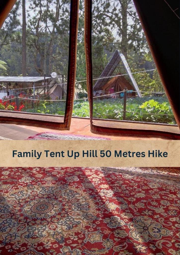 The Backyard Glamping Cameron Highlands