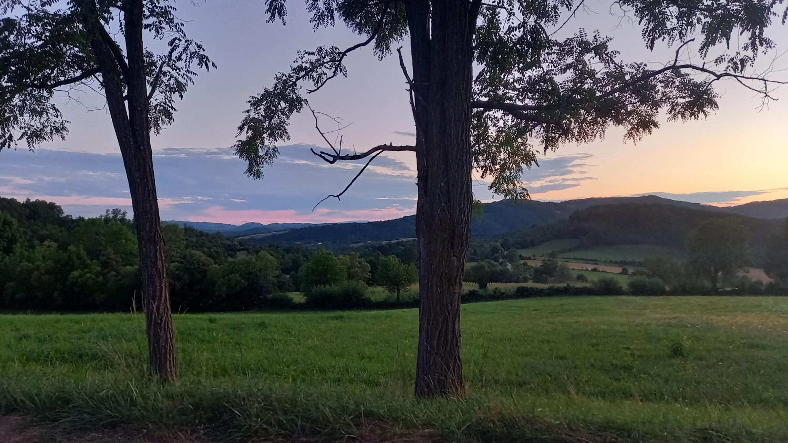Šumska čarolija