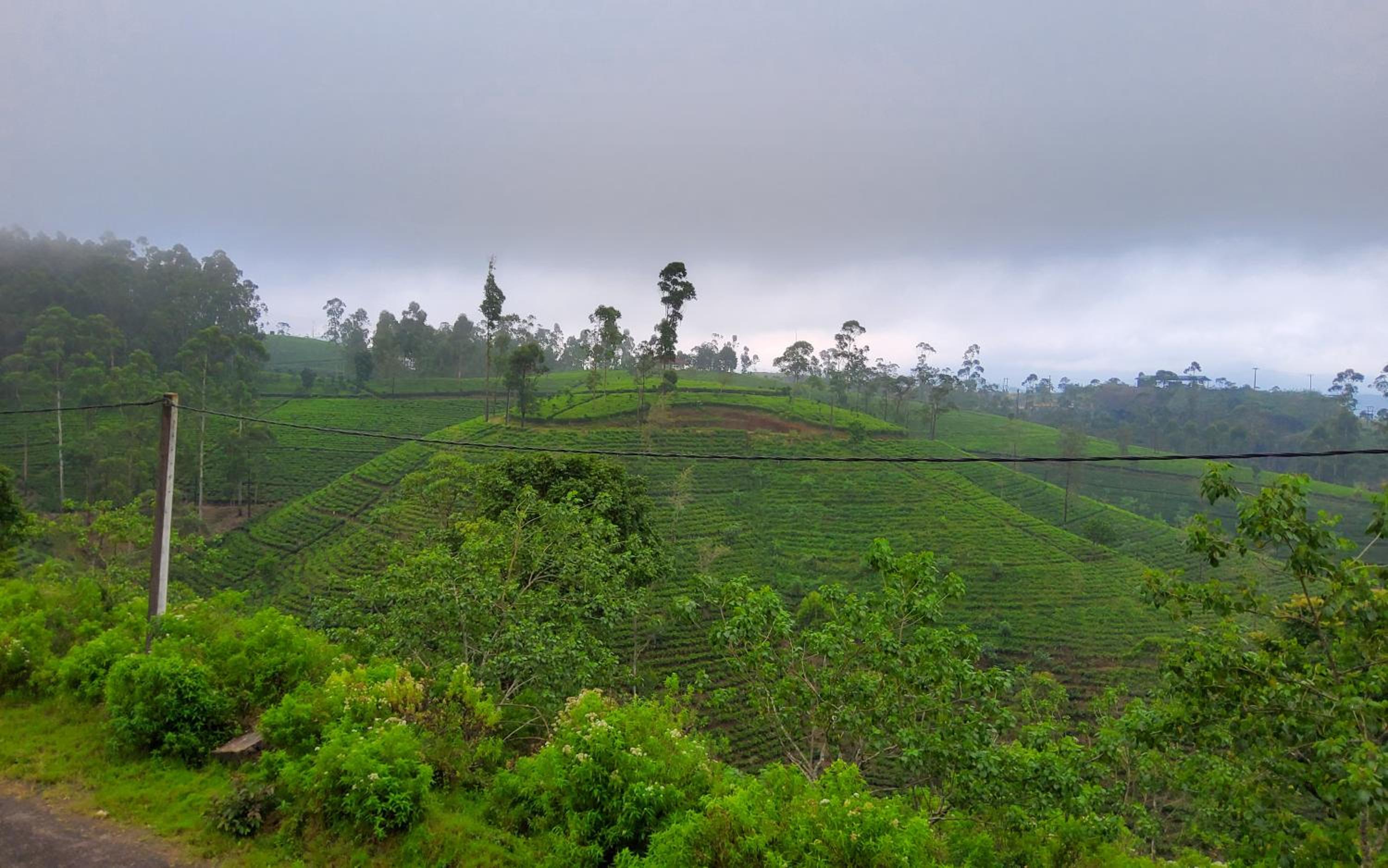 Thimaya Holiday Resort