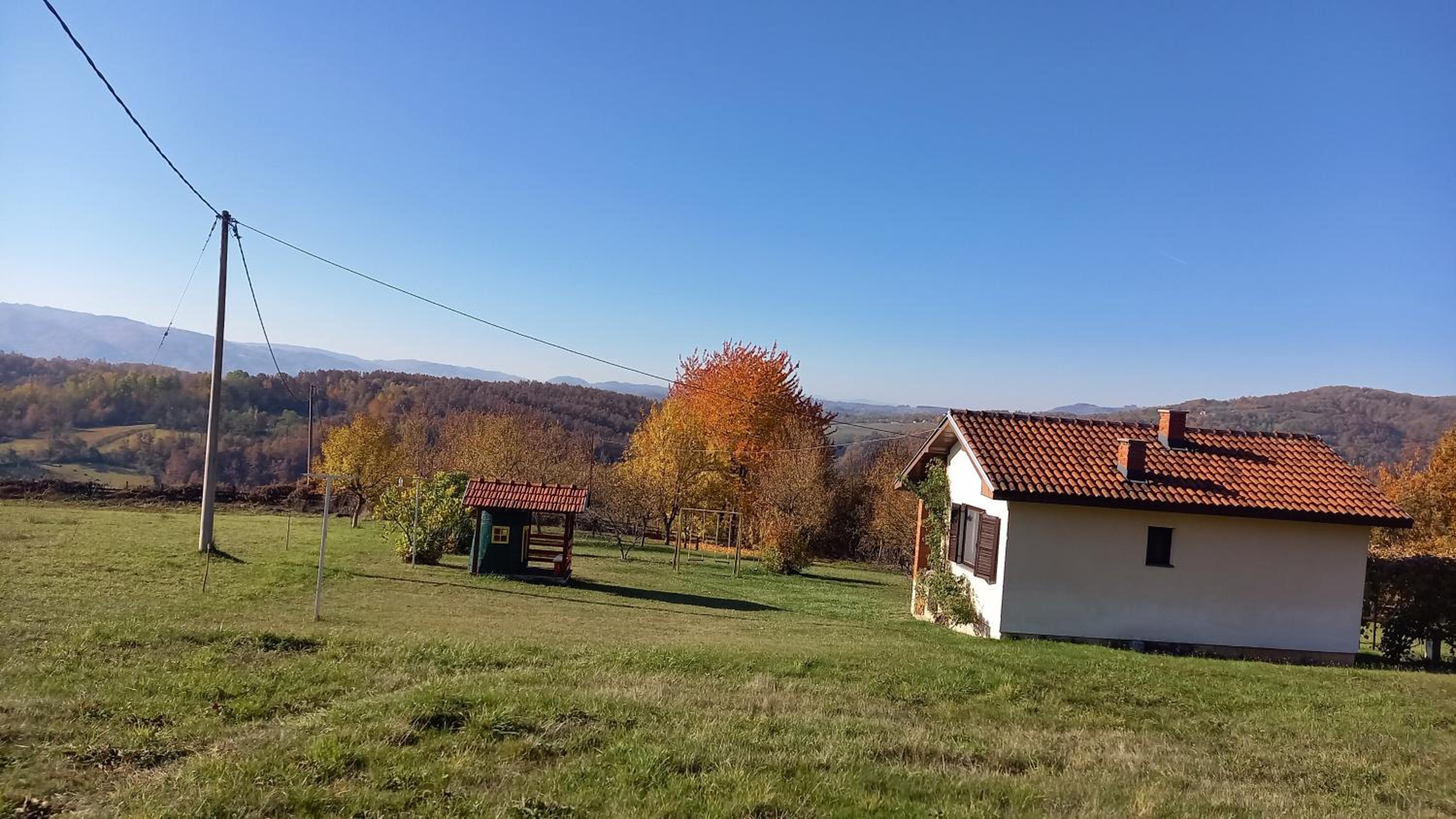 Šumska čarolija