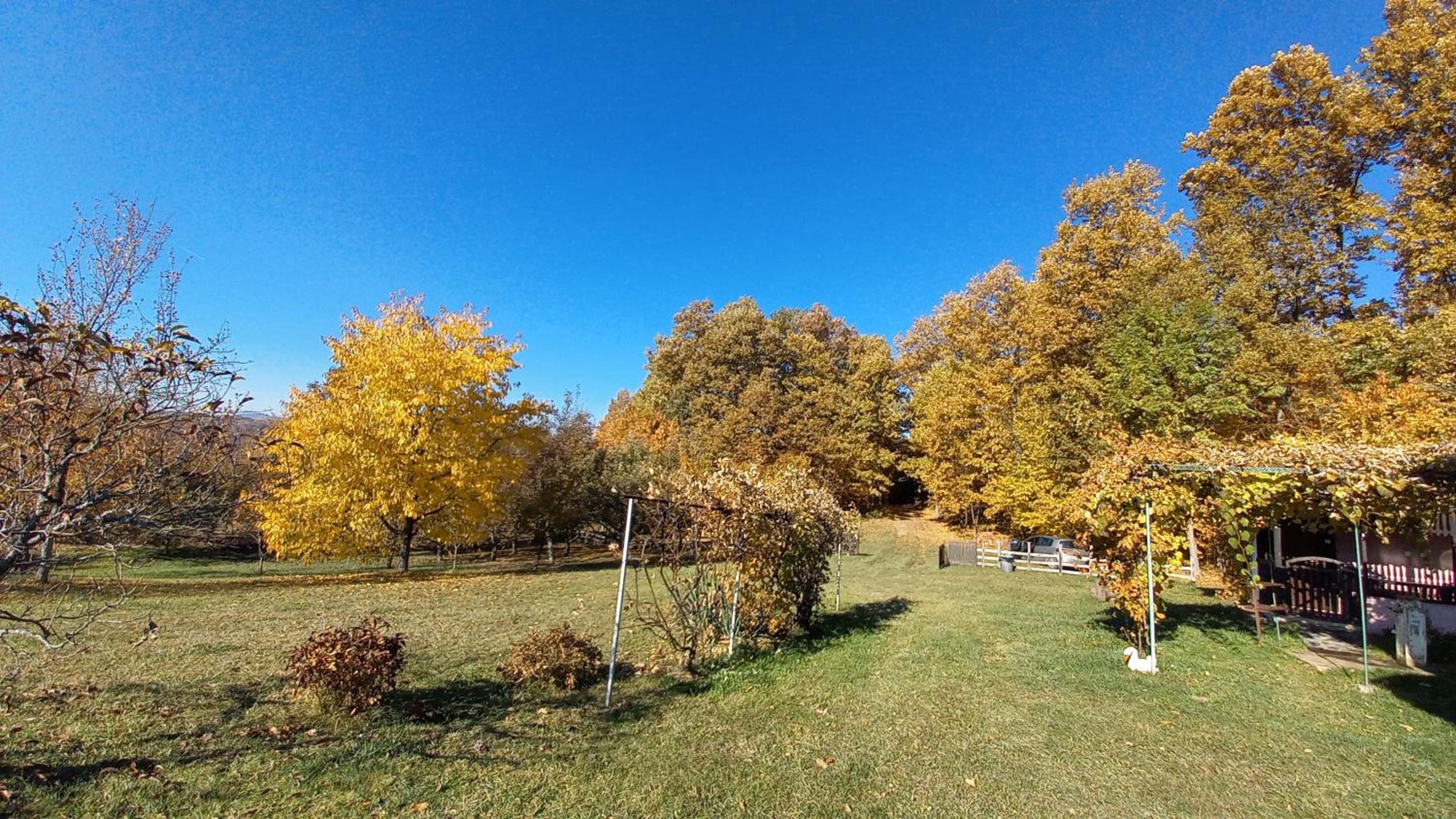 Šumska čarolija