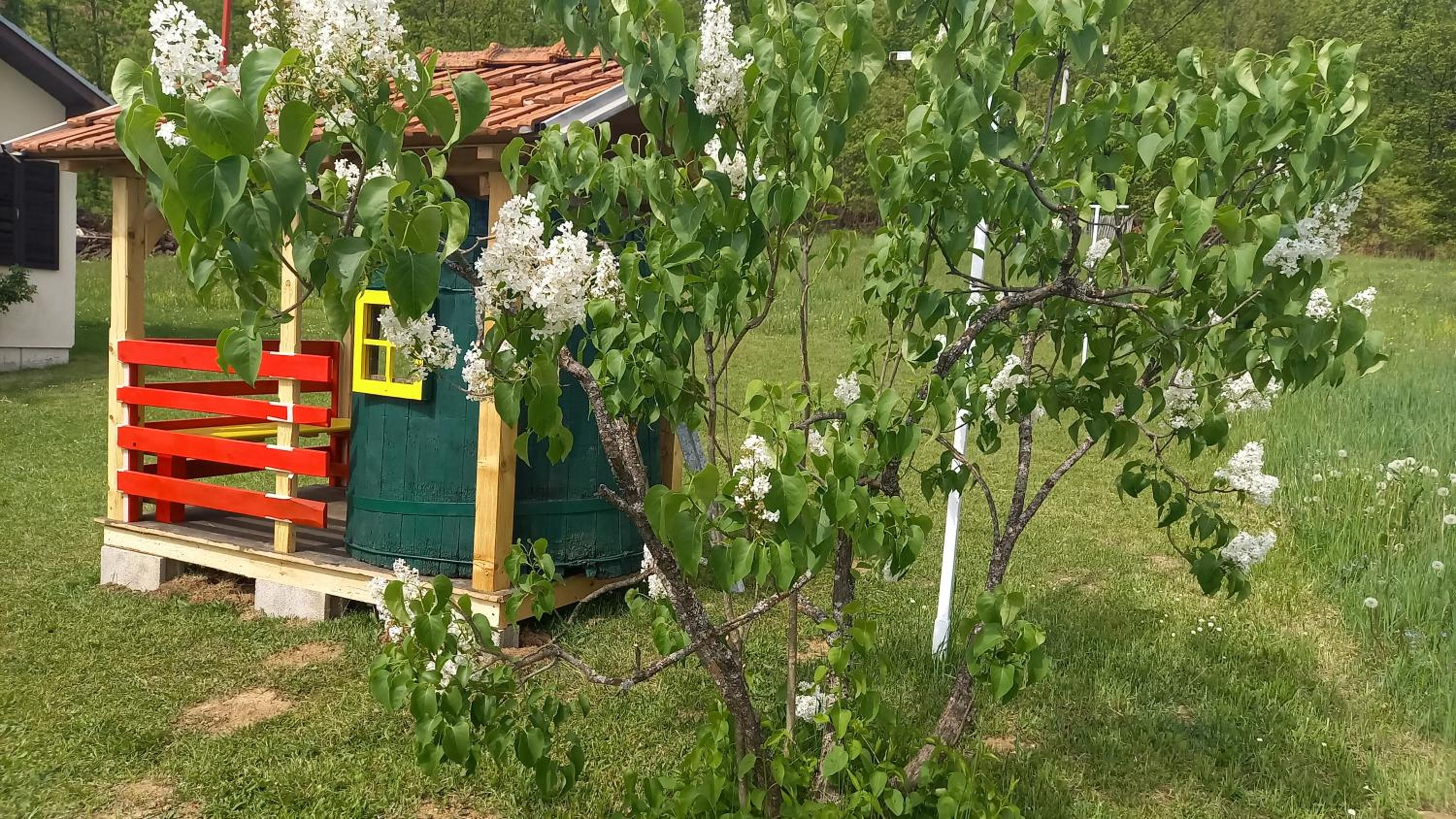 Šumska čarolija