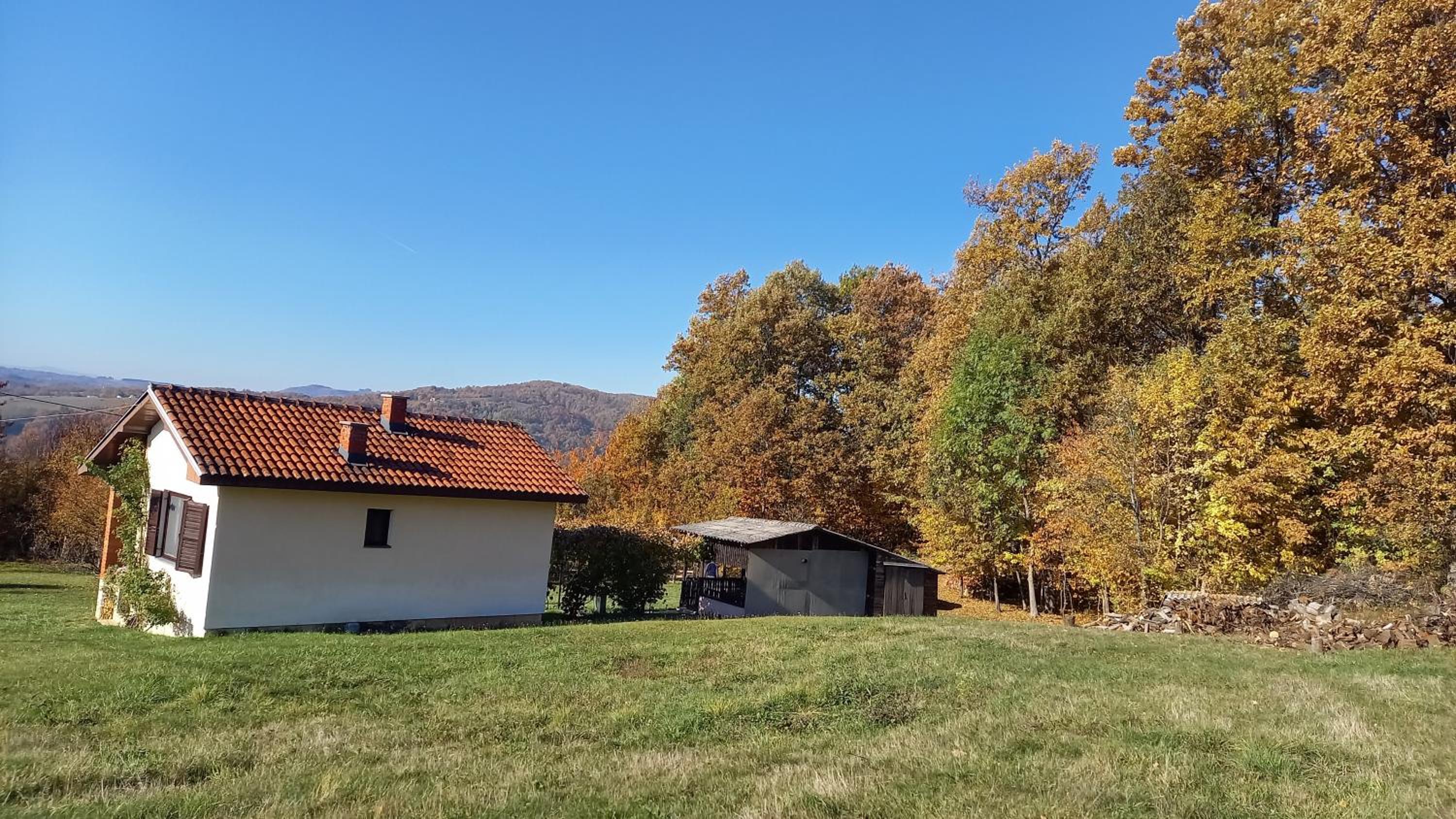 Šumska čarolija
