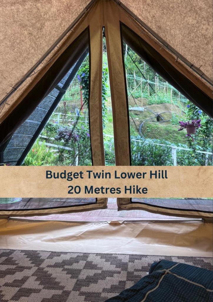The Backyard Glamping Cameron Highlands