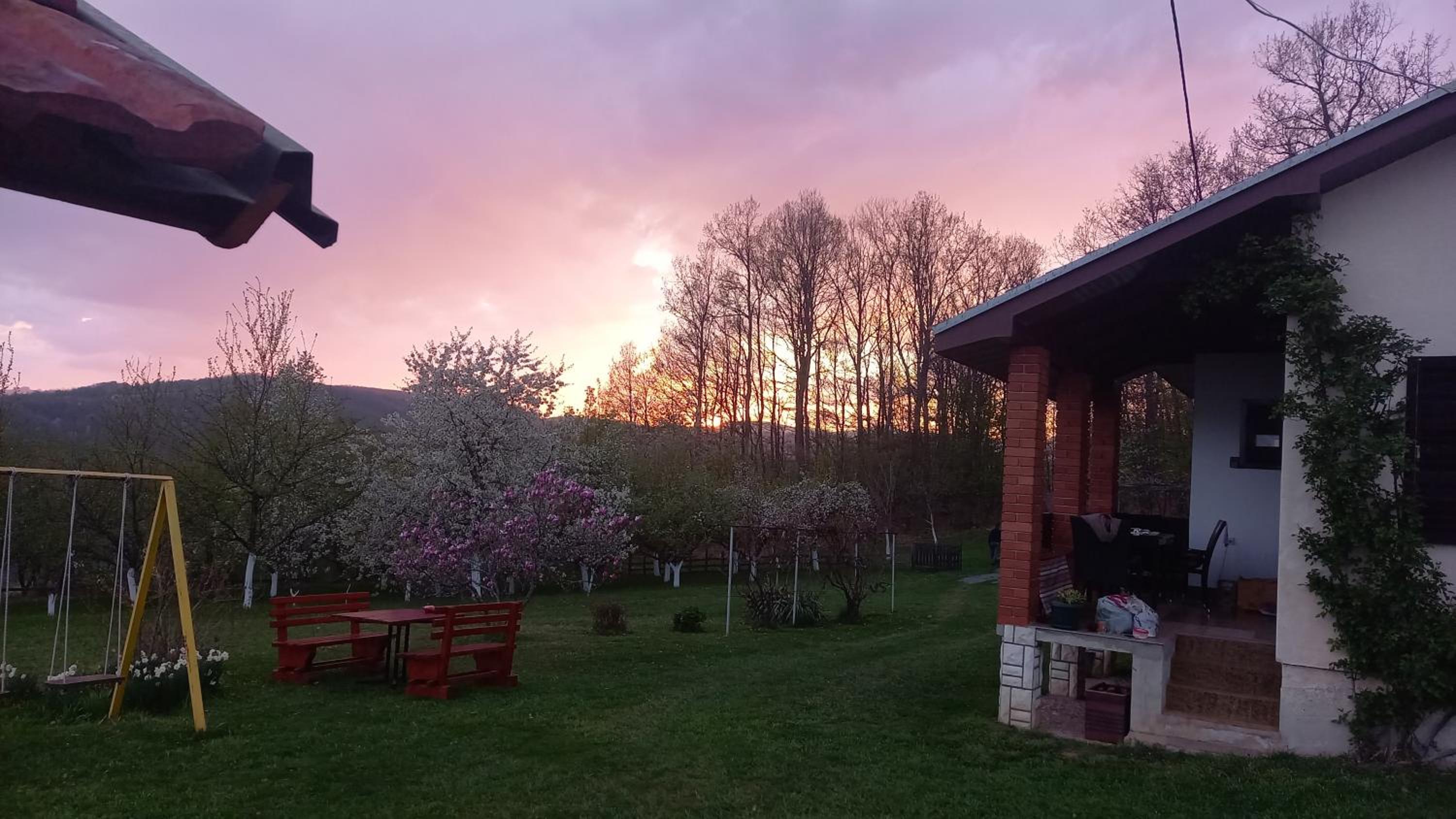 Šumska čarolija