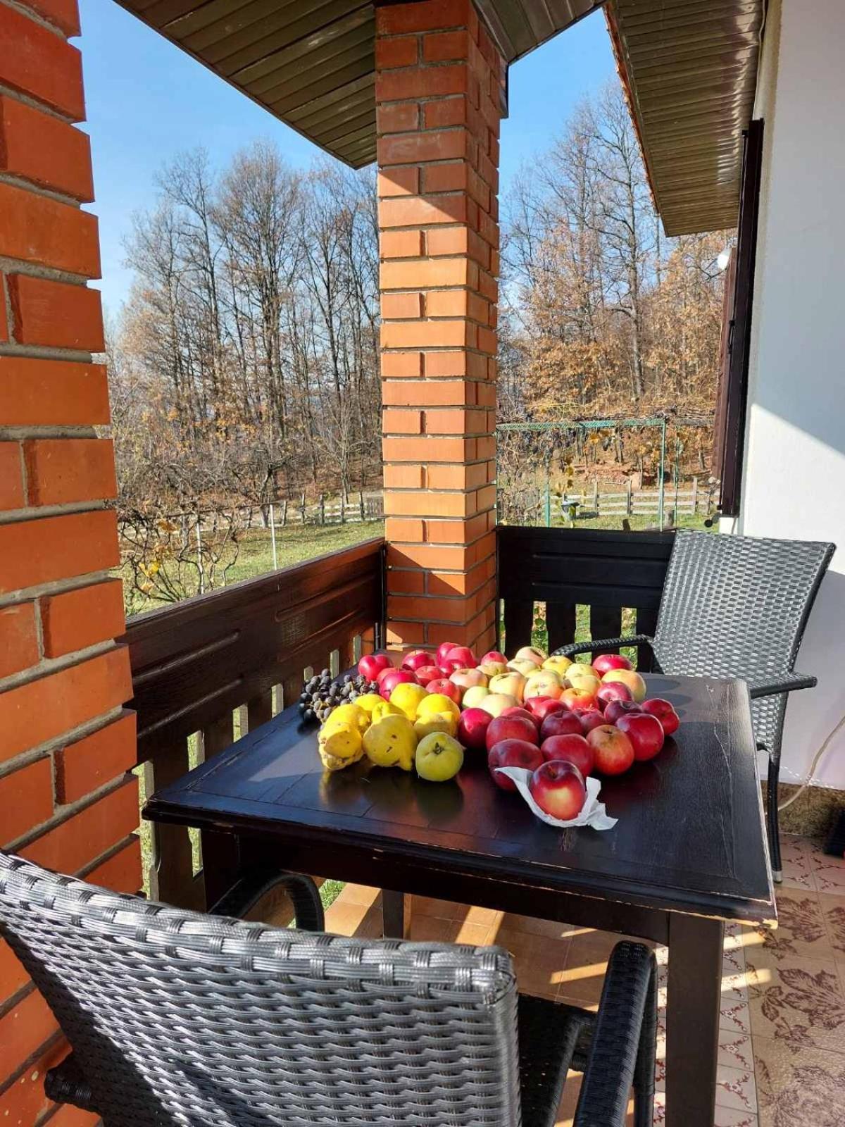 Šumska čarolija