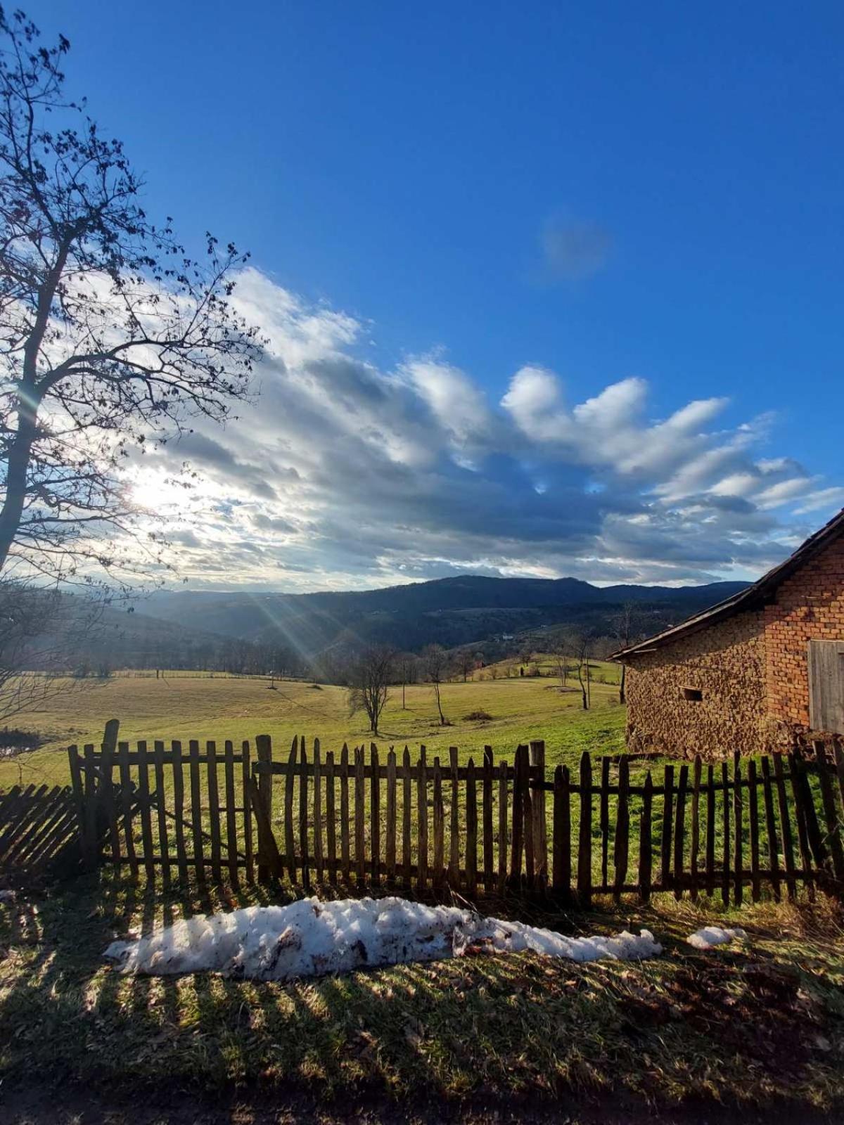Šumska čarolija
