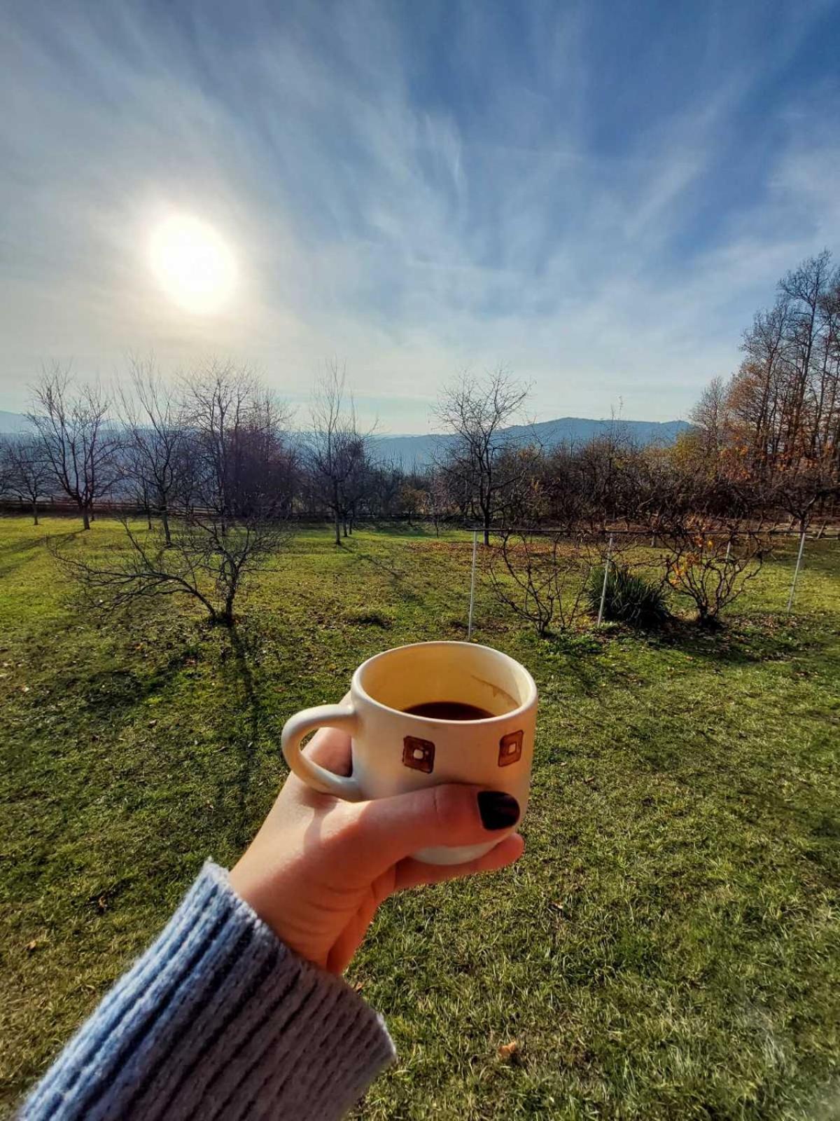 Šumska čarolija