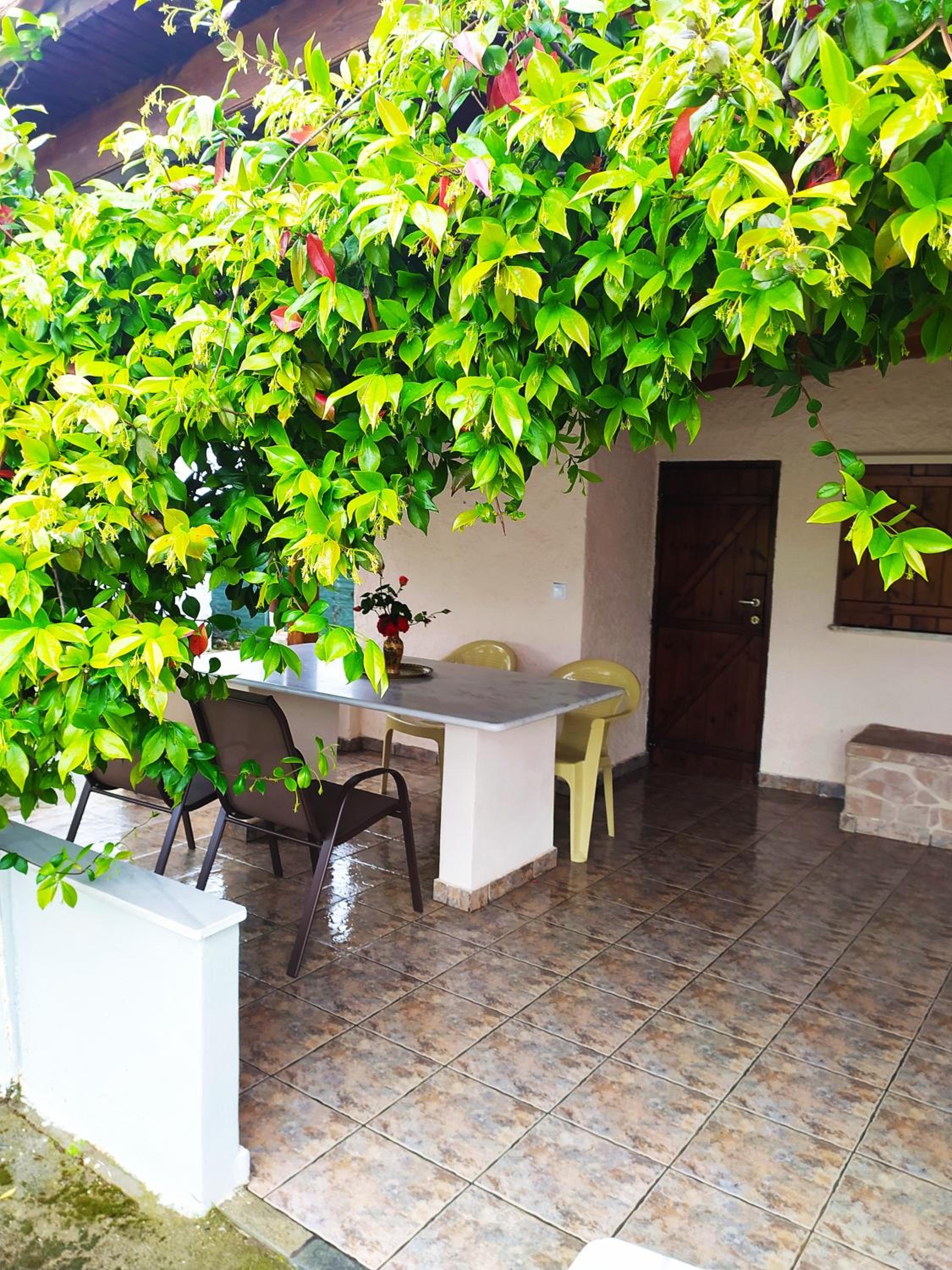 Photo 7