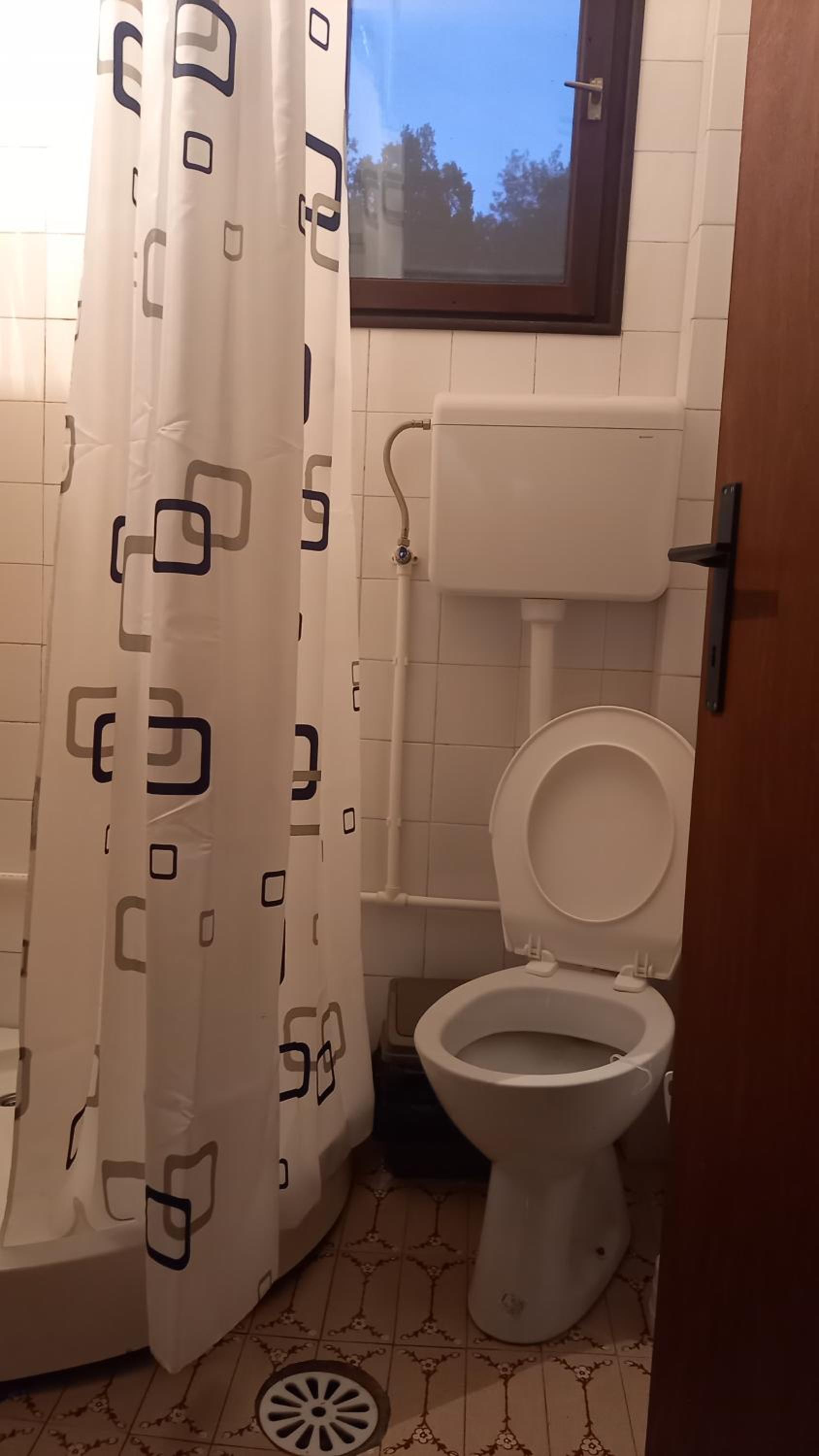 Šumska čarolija