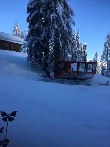 Almhütte - Skihütte am Goldeck in Kärnten