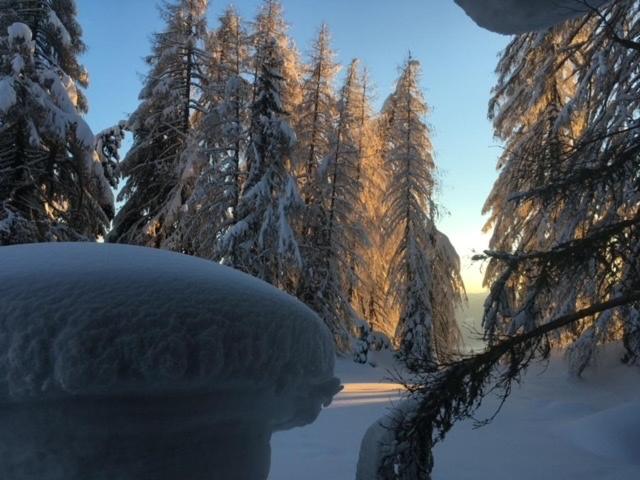 Almhütte - Skihütte am Goldeck in Kärnten