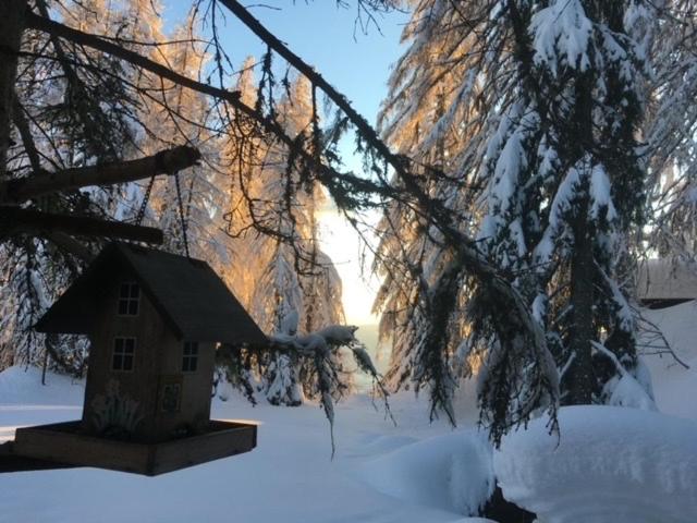Almhütte - Skihütte am Goldeck in Kärnten