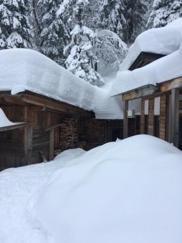 Almhütte - Skihütte am Goldeck in Kärnten