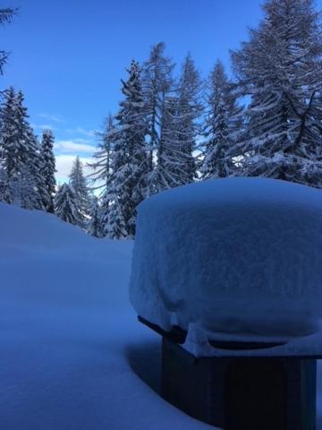 Almhütte - Skihütte am Goldeck in Kärnten