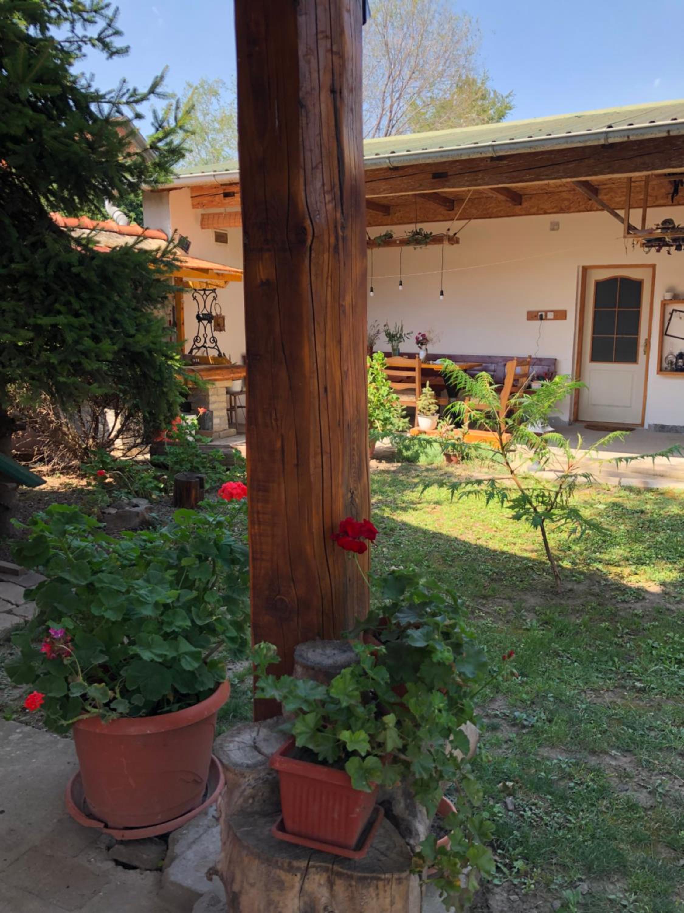 Photo 13