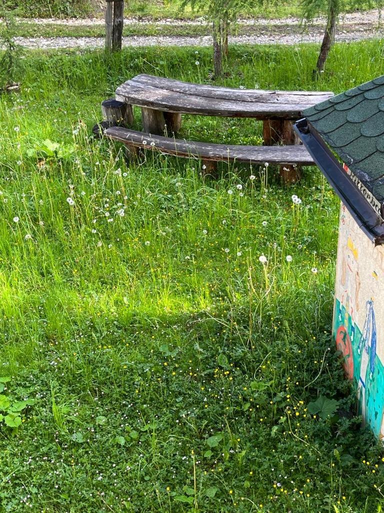 Almhütte - Skihütte am Goldeck in Kärnten