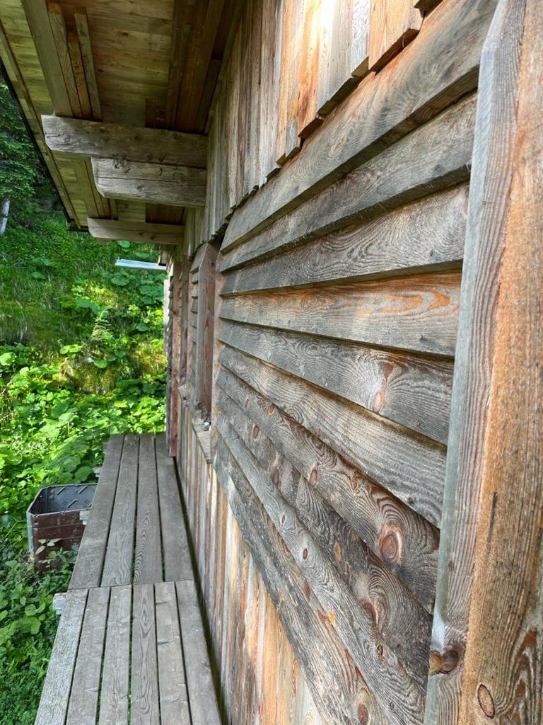 Almhütte - Skihütte am Goldeck in Kärnten