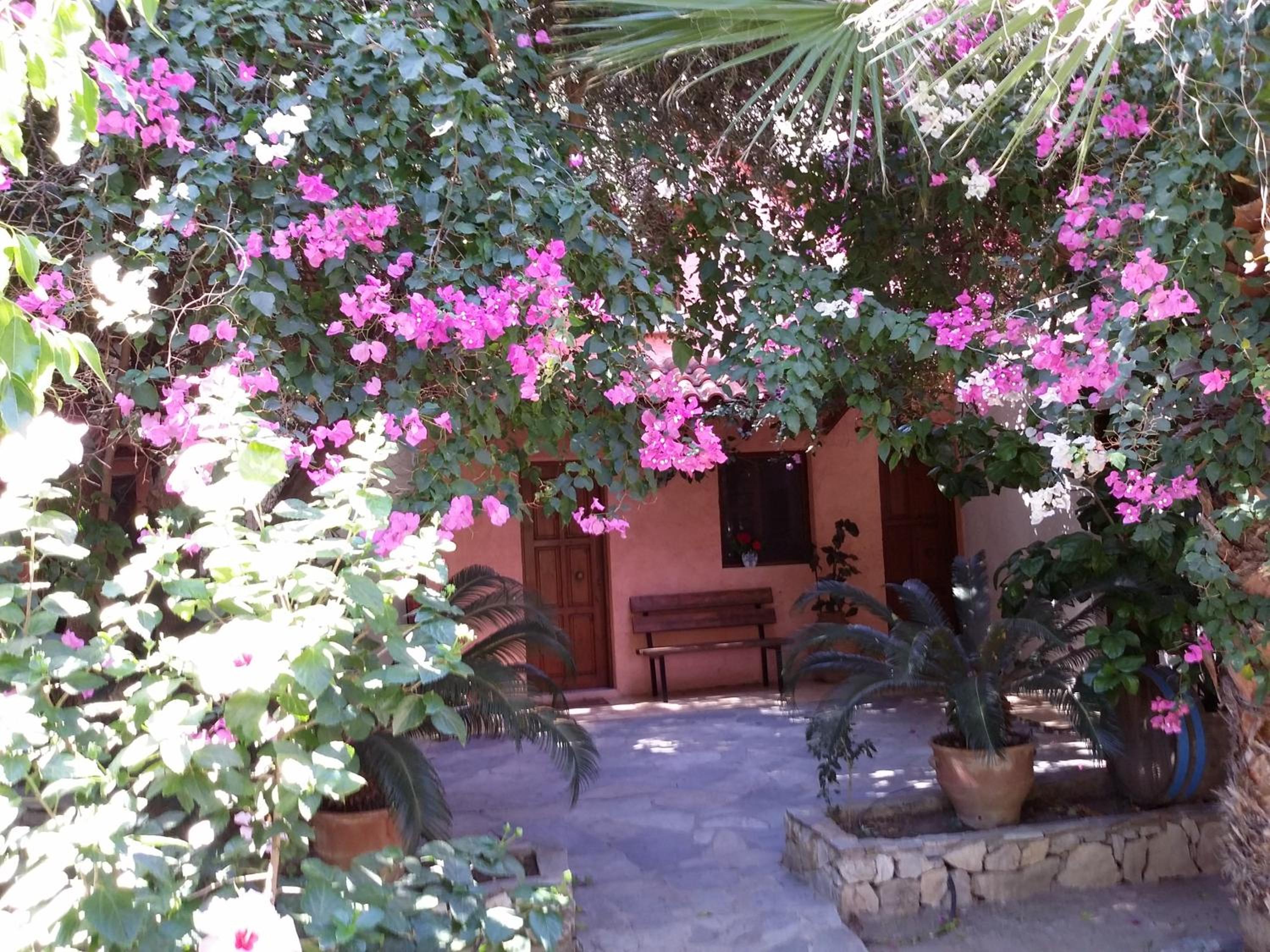 Olive tree Cottages