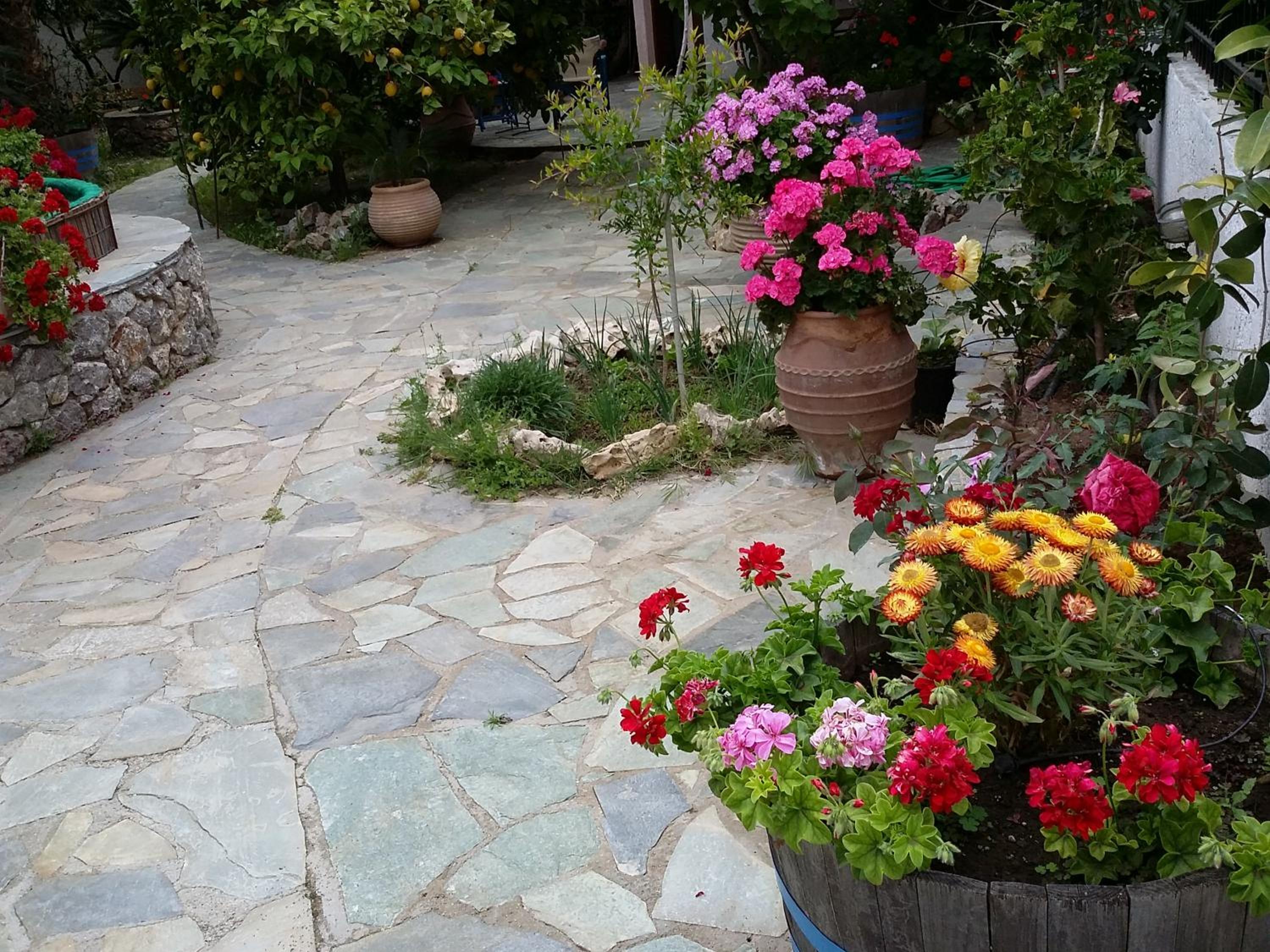 Olive tree Cottages