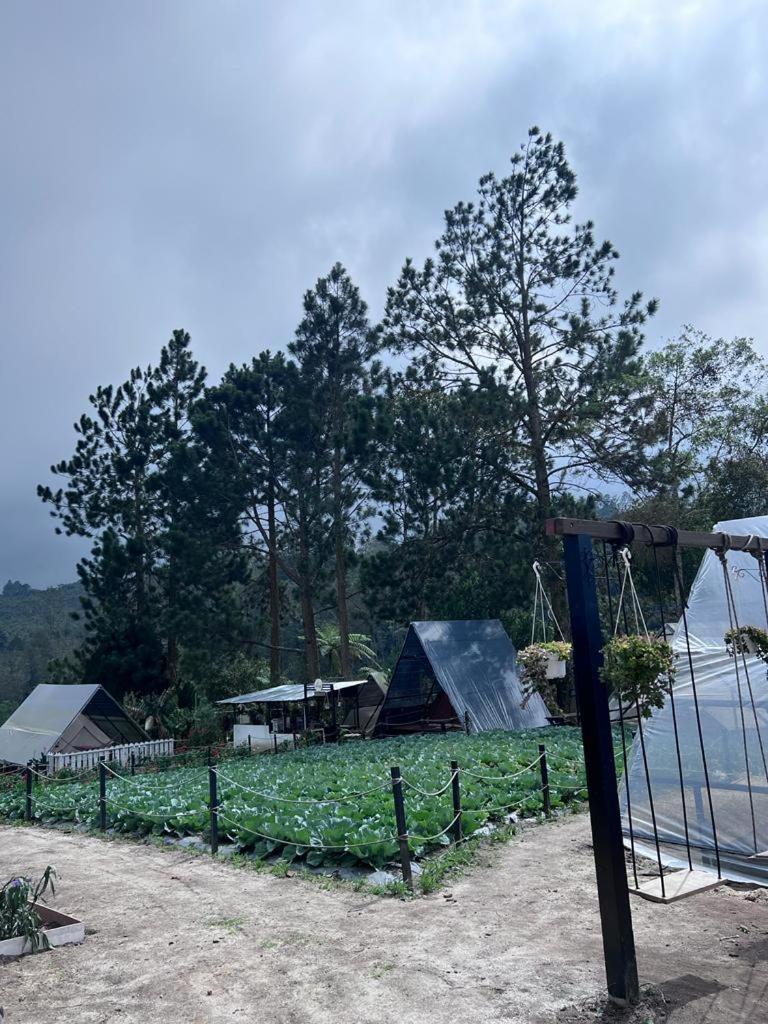 The Backyard Glamping Cameron Highlands