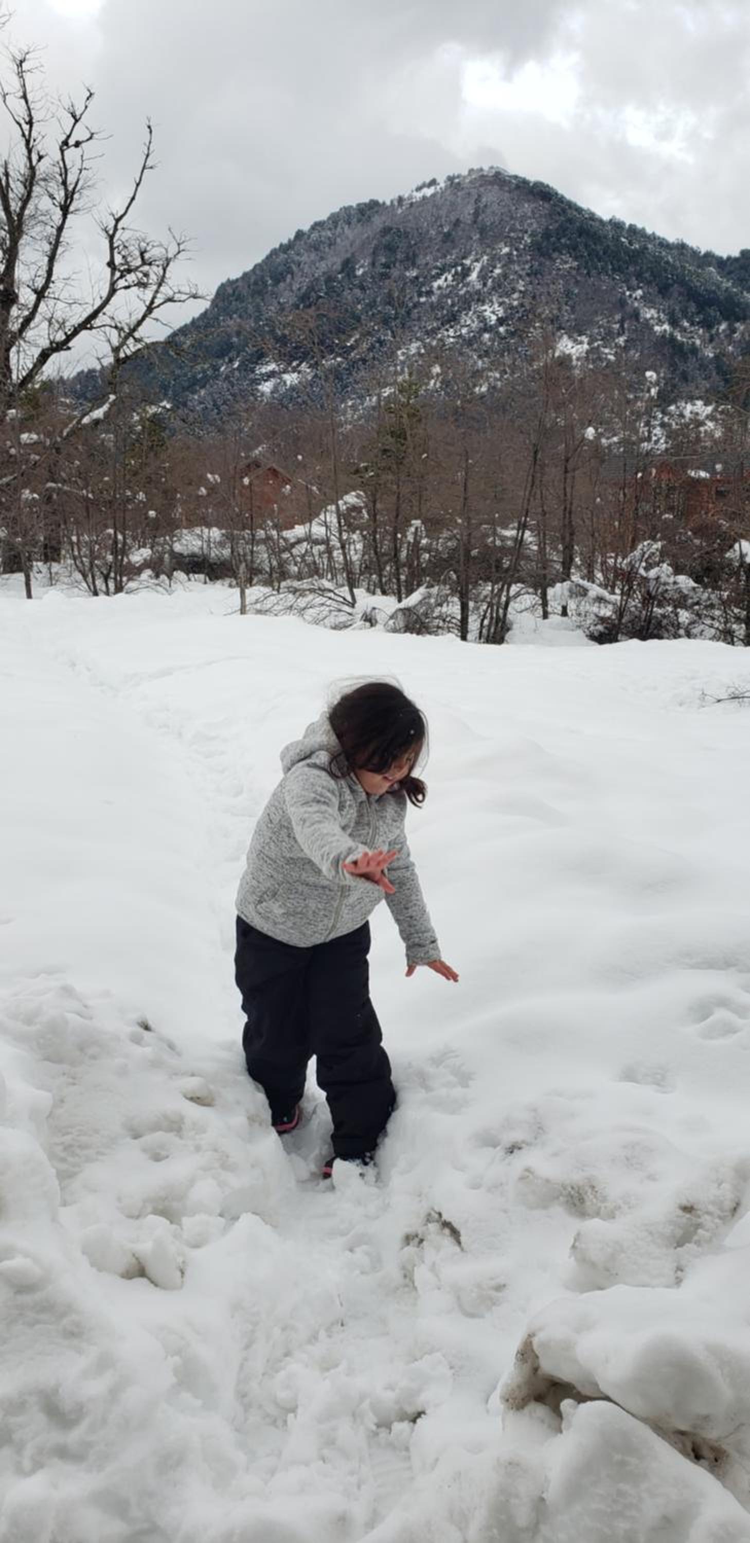 Cabañas Nevados Del Valle
